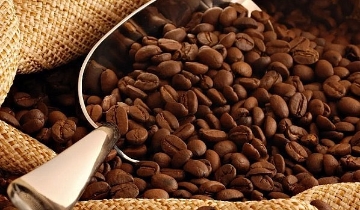 Cà phê giảm 500 đồng/kg sau chuỗi ngày tăng giá