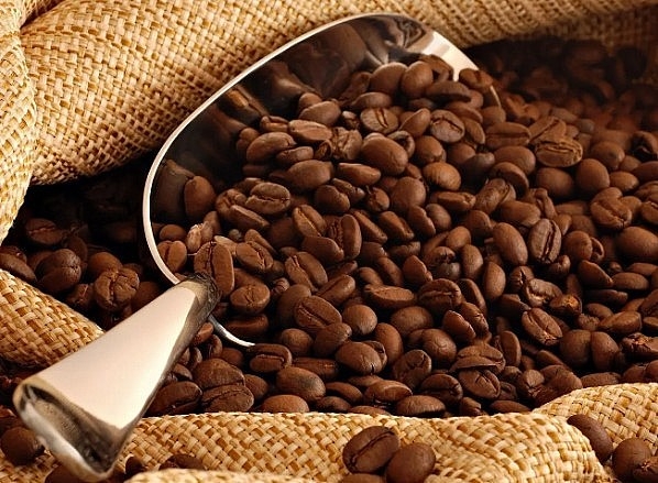 Giá cà phê giảm ở các vùng trồng trọng điểm.