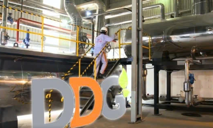 Đầu tư Công nghiệp Xuất nhập khẩu Đông Dương: Tái cấu trúc nợ và lỗ thêm gần 58 tỷ đồng sau kiểm toán