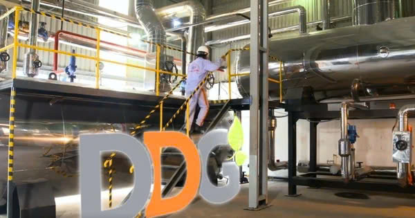 Công ty Xuất nhập khẩu Đông Dương lỗ sau thuế hơn 169 tỷ đồng sau soát xét (Ảnh minh họa).