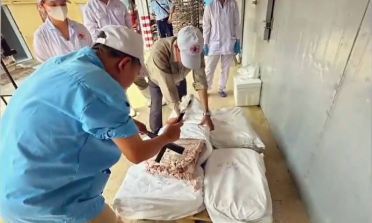 Vụ thịt lợn nhiễm dịch tại Hải Phòng: Đồ hộp Hạ Long đang kinh doanh ra sao?