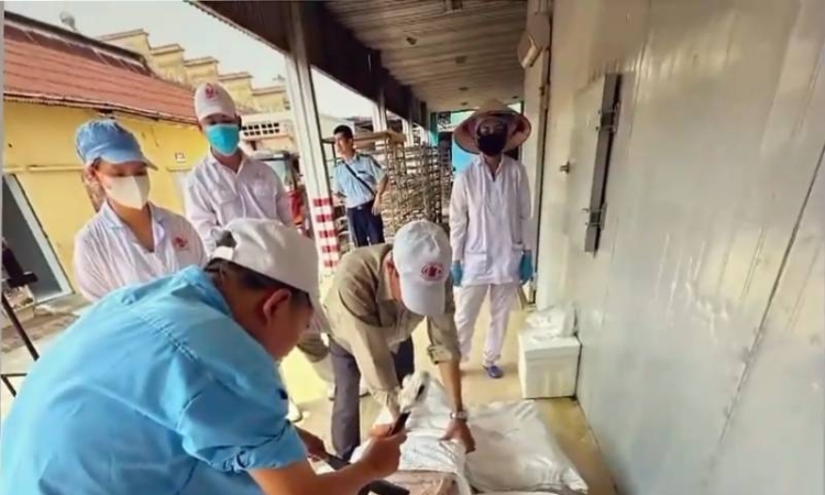 Vụ thịt lợn nhiễm dịch tại Hải Phòng: Đồ hộp Hạ Long đang kinh doanh ra sao?