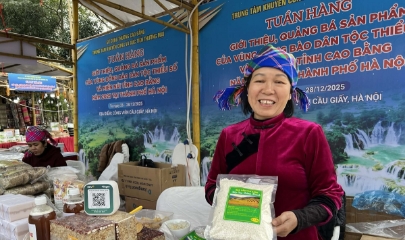 Bộ Nông nghiệp và Môi trường vừa có quyết định Ban hành Kế hoạch triển khai truy xuất nguồn gốc nông, lâm, thủy sản giai đoạn 2026-2030, tầm nhìn đến năm 2035.