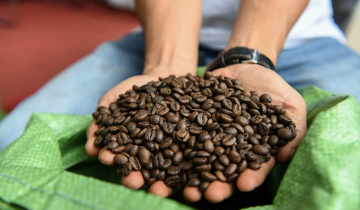 Hàng xuất khẩu Việt Nam đối mặt “làn sóng rào cản SPS mới”