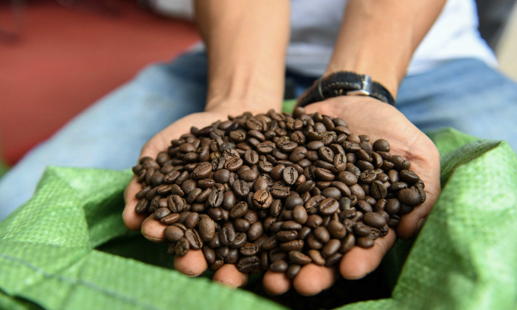 dư lượng mới đối với thuốc bảo vệ thực vật trên cà phê