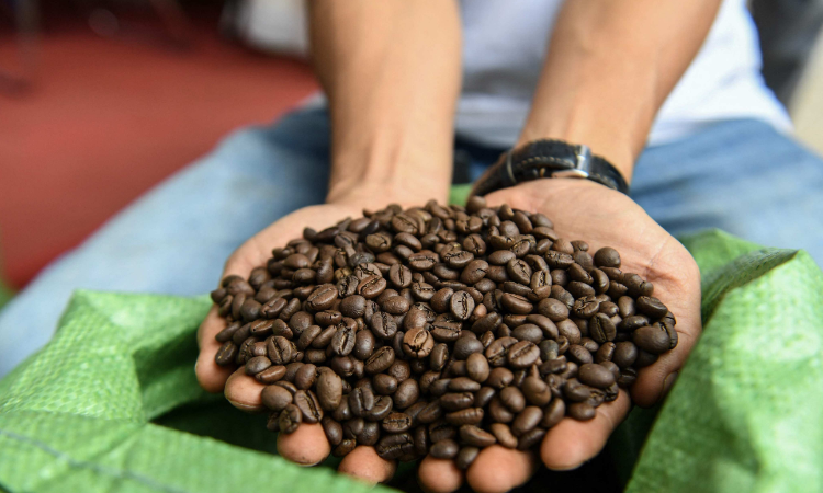 Hàng xuất khẩu Việt Nam đối mặt “làn sóng rào cản SPS mới”