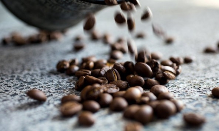 Người dân găm hàng, giá cà phê vẫn giảm 1.000 đồng/kg