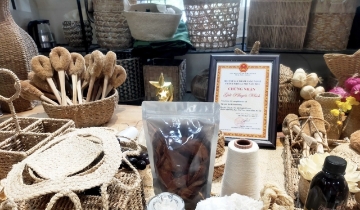 Musa Pacta và HTX trên hành trình nâng tầm xơ chuối Việt