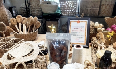 sản phẩm từ xơ chuối của musa pacta