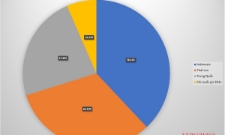 Khu vực ASEAN tiếp tục giữ vai trò trụ cột trong nhập khẩu ô tô vào Việt Nam