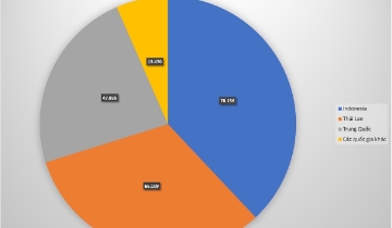 Mỗi ngày thị trường Việt Nam đón nhận thêm 563 xe ô tô nhập khẩu