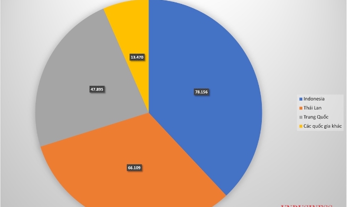 Khu vực ASEAN tiếp tục giữ vai trò trụ cột trong nhập khẩu ô tô vào Việt Nam