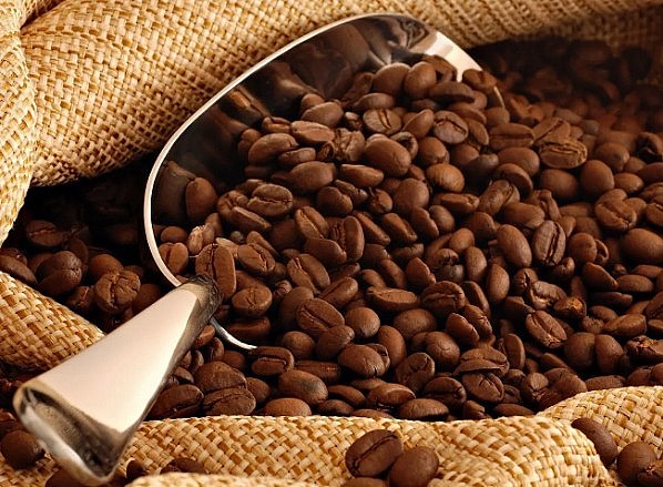 Thị trường giằng co, giá cà phê giảm 300 đồng/kg
