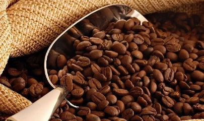 Thị trường giằng co, giá cà phê giảm 300 đồng/kg