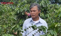 Chuyển đổi số: Cơ hội nâng cao giá trị nông sản vùng cao Quảng Trị