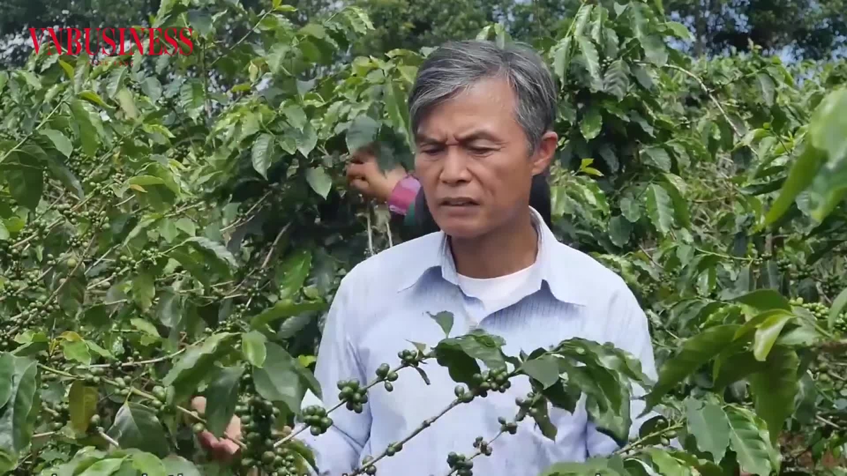 Chuyển đổi số: Cơ hội nâng cao giá trị nông sản vùng cao Quảng Trị