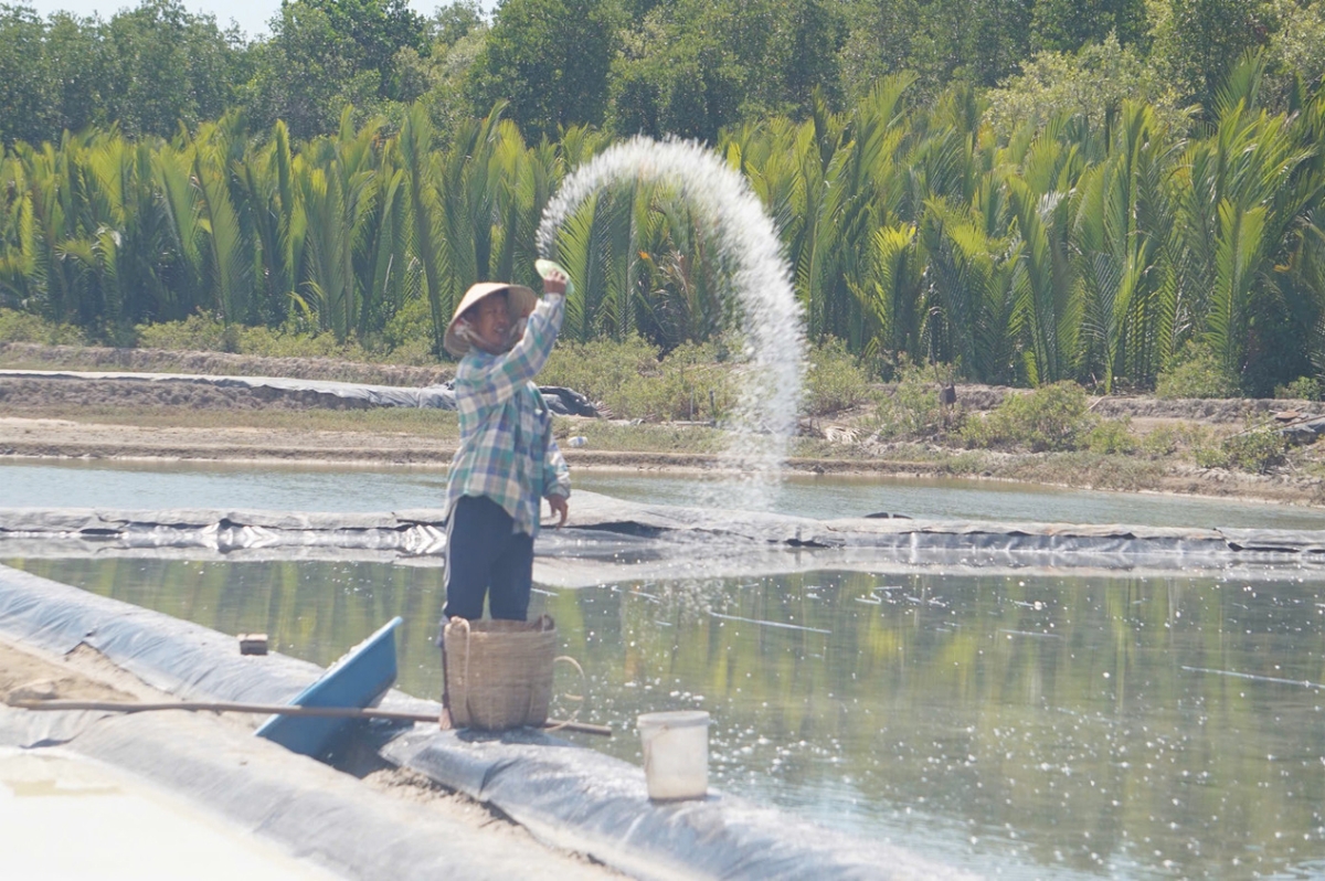 Ông Trần Văn Sáu