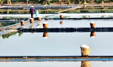 Cánh đồng muối ở ấp đảo Thiềng Liềng bừng lên một thứ ánh sáng rất riêng