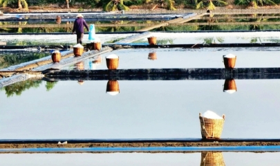 Cánh đồng muối ở ấp đảo Thiềng Liềng bừng lên một thứ ánh sáng rất riêng