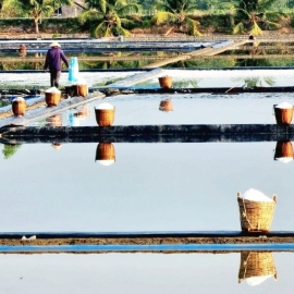 Cánh đồng muối ở ấp đảo Thiềng Liềng bừng lên một thứ ánh sáng rất riêng