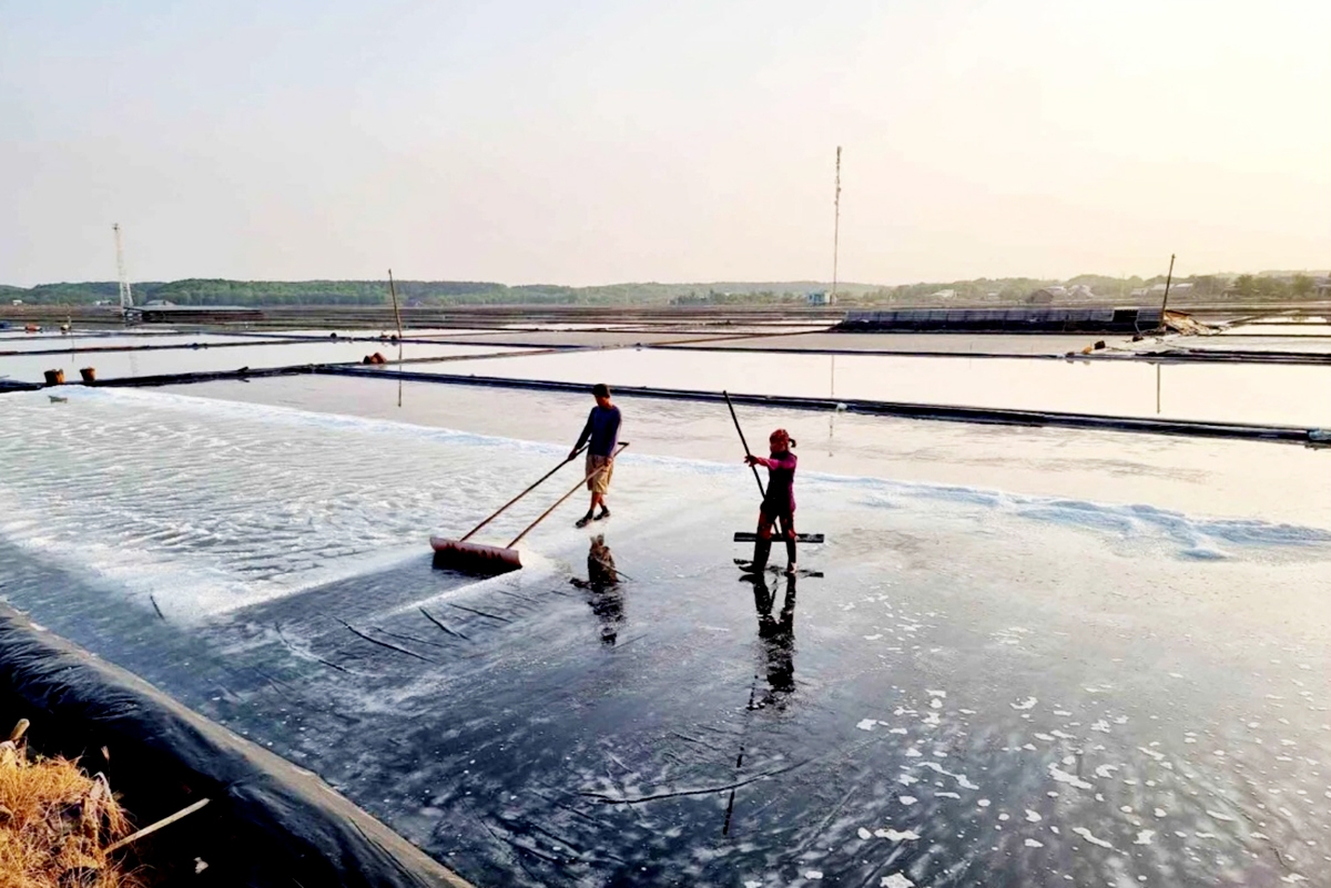 Mạnh dạn làm mới mình, phát triển du lịch cộng đồng giúp cuộc sống của người làm muối ở Thiềng Liềng sang trang.