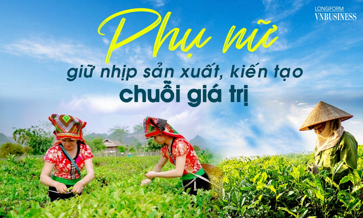 Phụ nữ giữ nhịp sản xuất, kiến tạo chuỗi giá trị nông nghiệp xanh