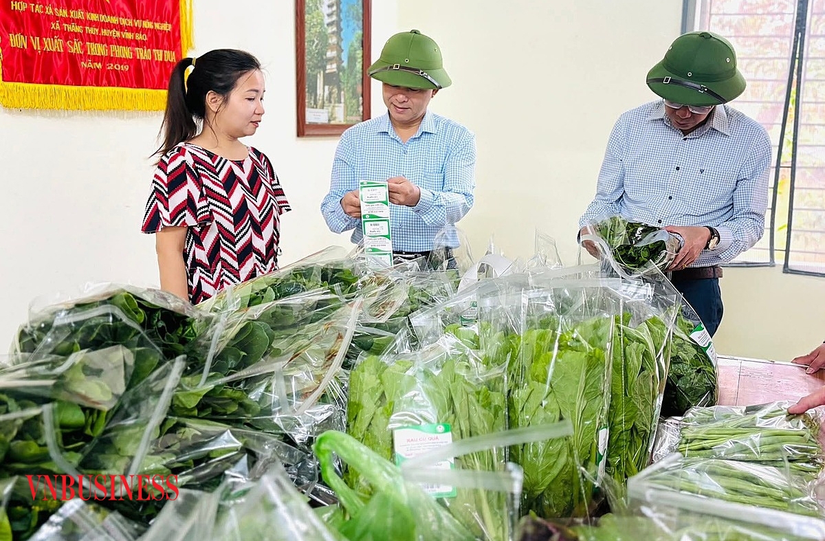 Sở hữu trí tuệ là yếu tố quan trọng giúp HTX nâng cao giá trị sản xuất, định vị tên tuổi, thương hiệu trên thị trường.