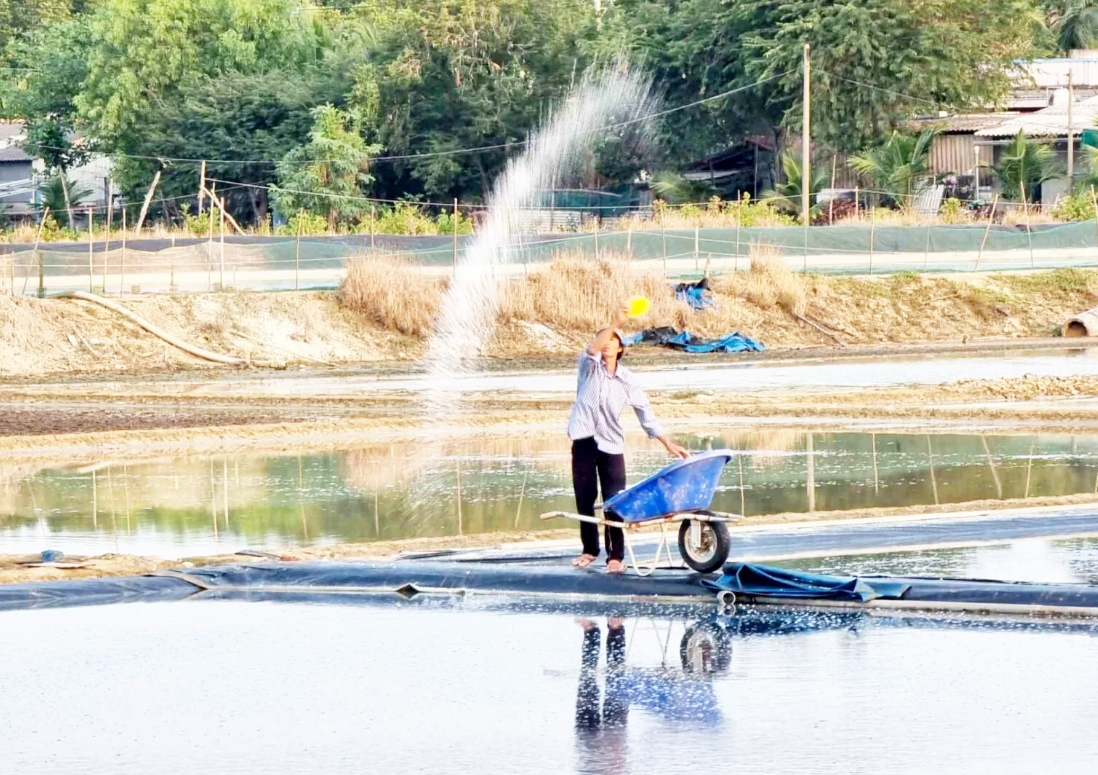 Đã từng có thời gian nghề làm muối ở Thiềng Liềng tưởng như mai một.