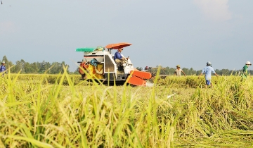 Điểm sáng HTX kiểu mới trong liên kết chuỗi giá trị