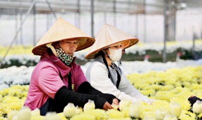 HTX tại Lâm Đồng đang chuyển đổi mạnh mẽ