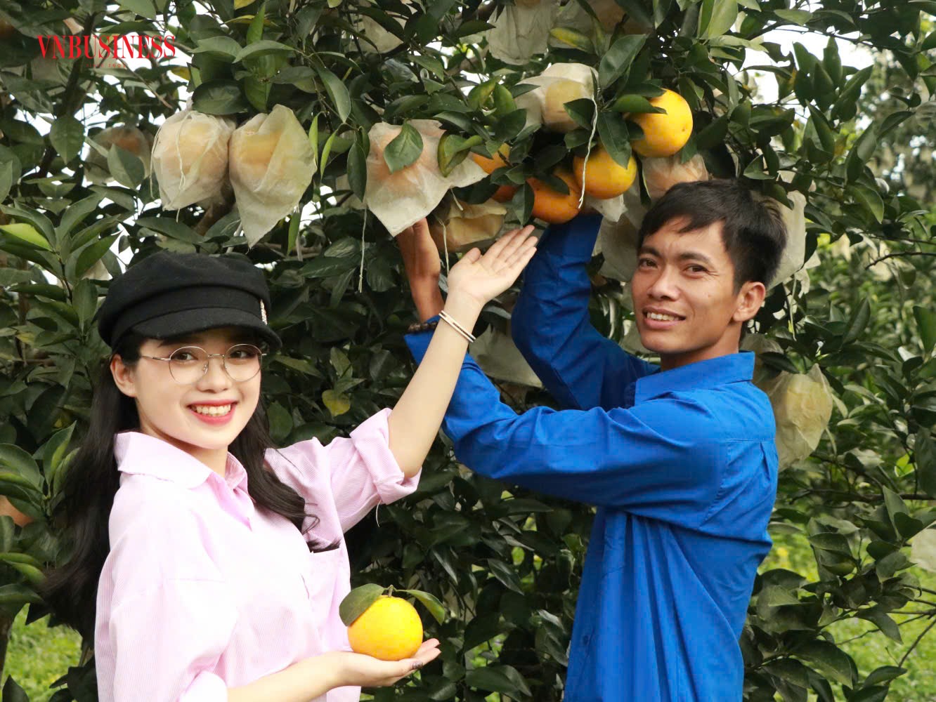 Anh Đoàn Ngọc Bảo - Tổ trưởng Tổ hợp tác Sản xuất và Kinh doanh cam Hương Thọ (Hà Tĩnh) bên những trái cam chín tại vườn nhà.