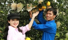 Anh Đoàn Ngọc Bảo - Tổ trưởng Tổ hợp tác Sản xuất và Kinh doanh cam Hương Thọ (Hà Tĩnh) bên những trái cam chín tại vườn nhà.