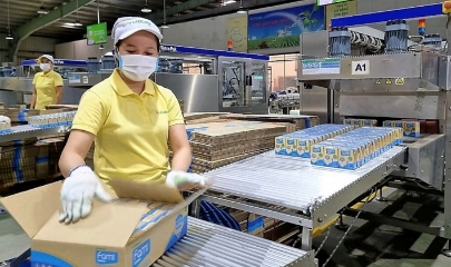 một nhà máy của Đường Quảng Ngãi