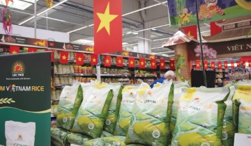 Lộc Trời lại có CEO mới sau 3 tháng, loay hoay trước ‘bài toán’ sinh tồn