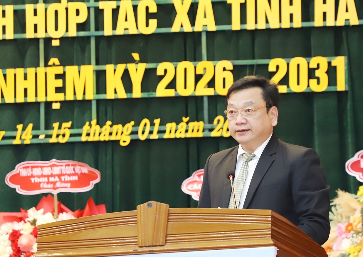 Phó Chủ tịch UBND tỉnh Hồ Huy Thành phát biểu tại đại hội.