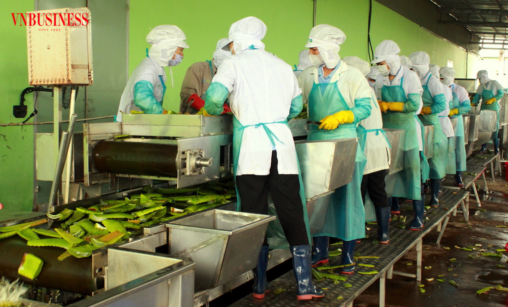 Chuỗi sản xuất nội địa phải thích nghi, nâng cấp toàn diện, có tính kỷ luật cao nhằm tận dụng tốt trước cuộc canh tân toàn diện lần này.