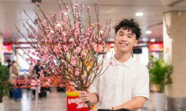 Từ ngày hôm nay (15/1) các hãng hàng không chính thức triển khai dịch vụ vận chuyển mai đào dịp tết 2026.