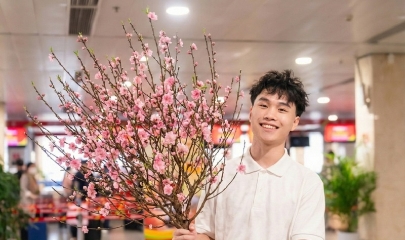 Từ ngày hôm nay (15/1) các hãng hàng không chính thức triển khai dịch vụ vận chuyển mai đào dịp tết 2026.