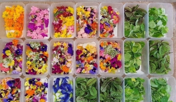 HTX nâng cao năng lực cạnh tranh bằng tư duy dịch vụ khác biệt