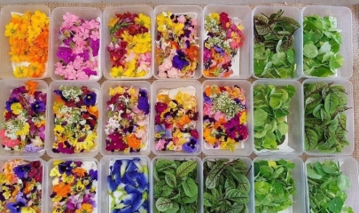 Cung ứng hoa, rau deco giúp HTX chinh phục thị trường tiềm năng.