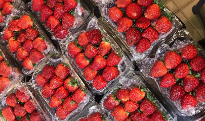 Dâu Mộc Châu được người tiêu dùng lựa chọn nhờ giá vừa phải.