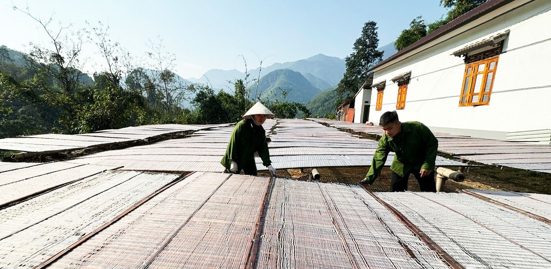 Làng nghề miến dong tại tỉnh Thái Nguyên.