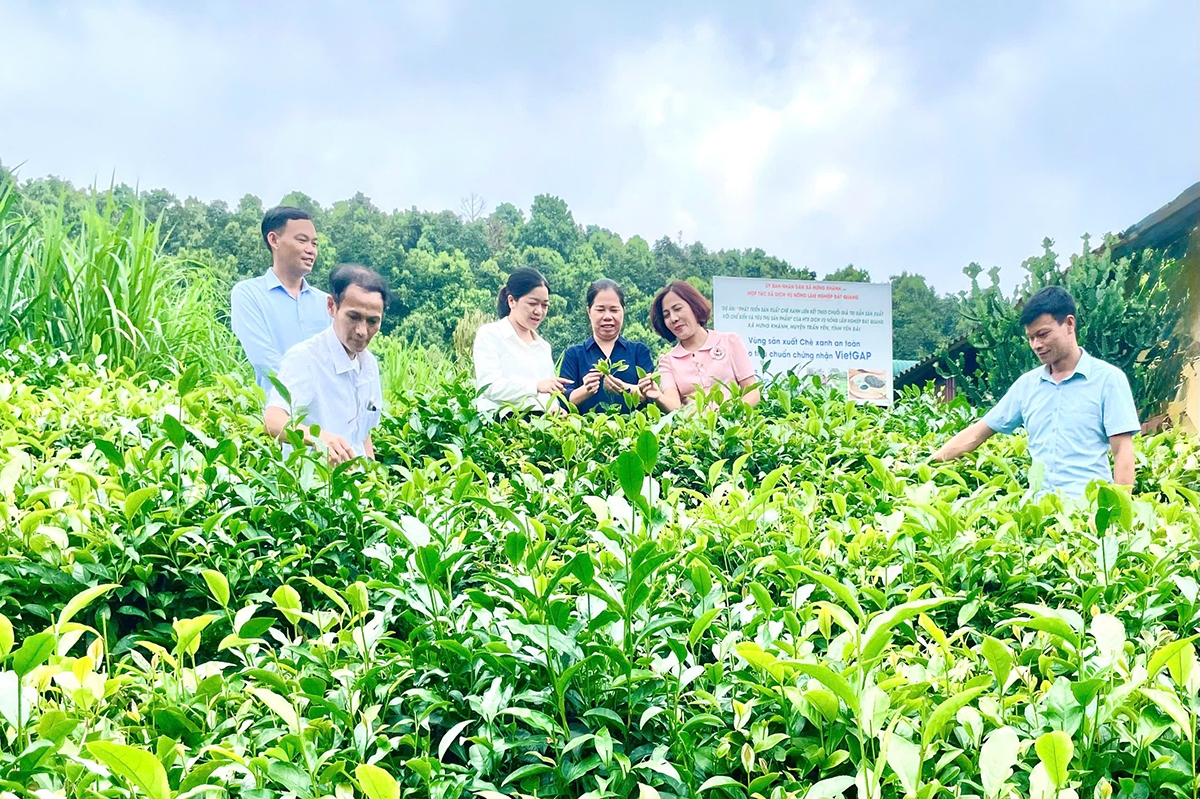 Sở hữu trí tuệ giúp sản phẩm HTX định vị thương hiệu tốt hơn trên thị trường, nâng cao uy tín, sức cạnh tranh.