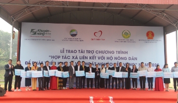 Gieo nền hợp tác xã, bồi đắp sinh kế bền vững cho người nông dân