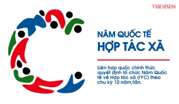 Liên hợp quốc quyết định tổ chức Năm Quốc tế về Hợp tác xã theo chu kỳ 10 năm