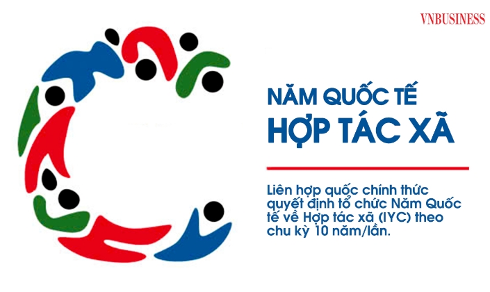 Đại hội đồng Liên hợp quốc đã thông qua Nghị quyết A/RES/80/182, chính thức quyết định tổ chức Năm Quốc tế về Hợp tác xã (International Year of Cooperatives – IYC) theo chu kỳ 10 năm/lần.