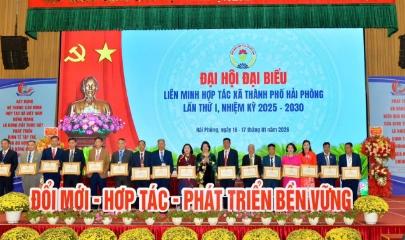 Liên minh HTX TP Hải Phòng Đổi mới - Hợp tác - Phát triển bền vững