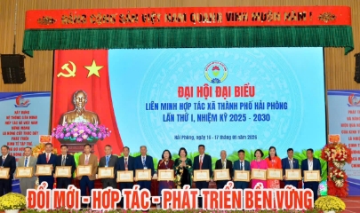 Liên minh HTX TP Hải Phòng Đổi mới - Hợp tác - Phát triển bền vững