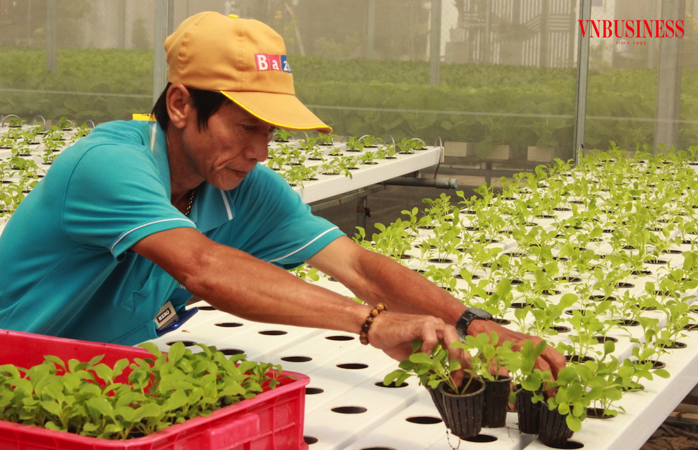 Người nông dân chuyên nghiệp đòi hỏi am hiểu cây trồng, giống, vật nuôi, có như vậy mới xây dựng được thương hiệu nông sản và xây dựng được thị trường.