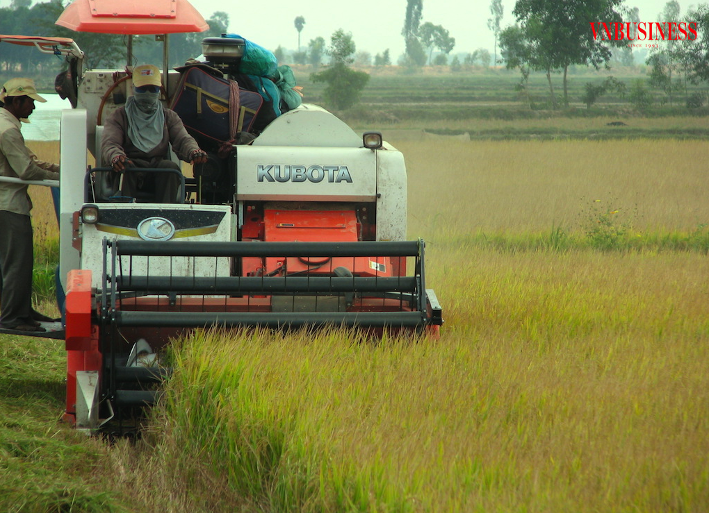 Các HTX kiểu mới trong ngành hàng lúa gạo đóng vai trò làm “nhạc trưởng”, điều hành hài hòa lợi ích, lợi nhuận cho nông dân và phía doanh nghiệp.
